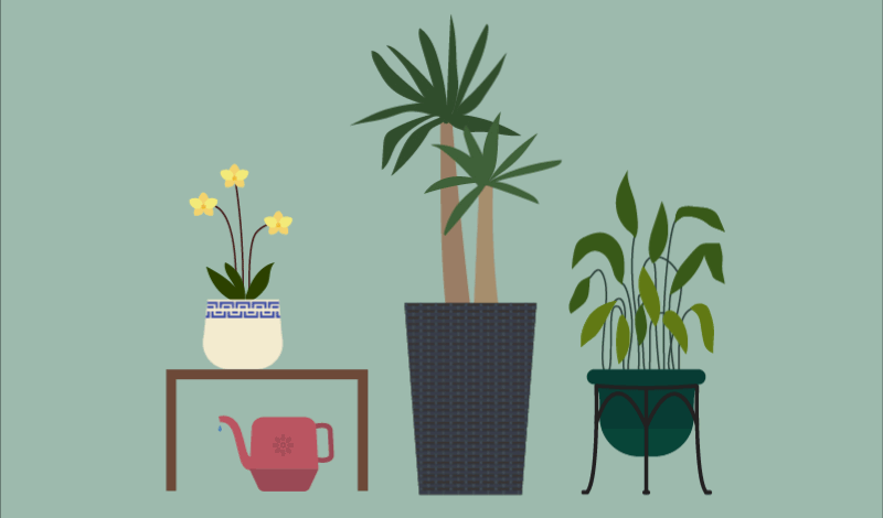Landscaping animation
